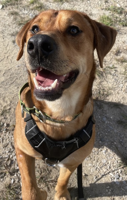 Rufus