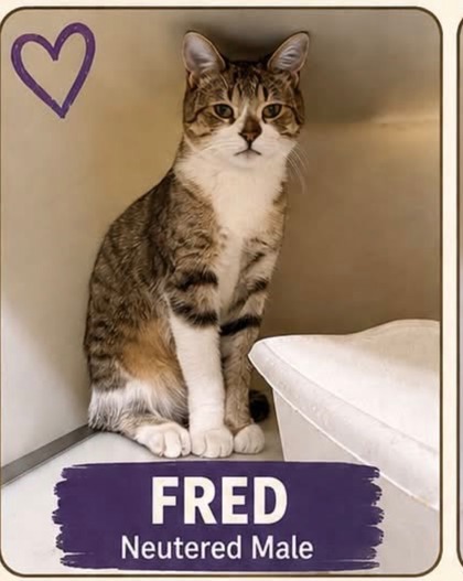 Fred